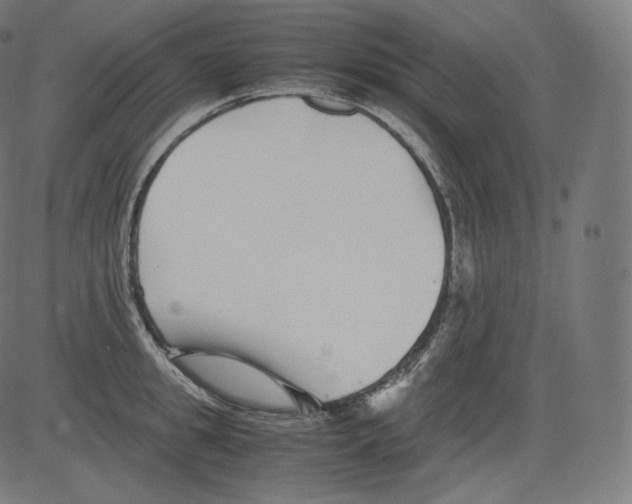 X0000081430949200702092156