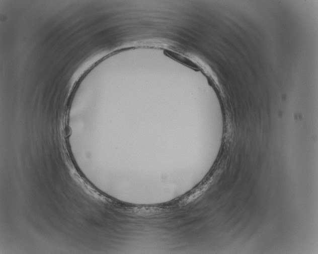 X0000081430952200702092156