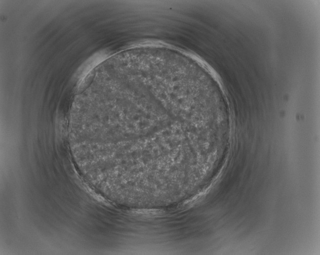 X0000081430953200702092156