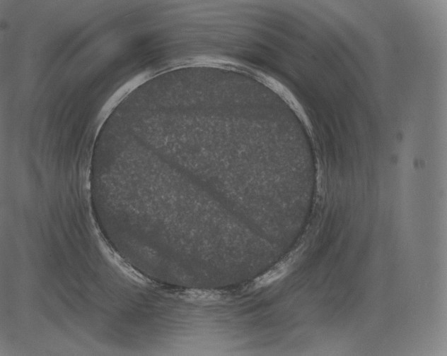 X0000081430954200702092156