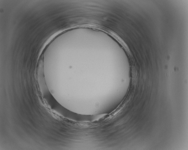 X0000081430956200702092156