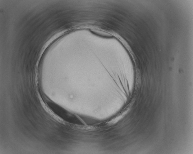 X0000081430957200702092156