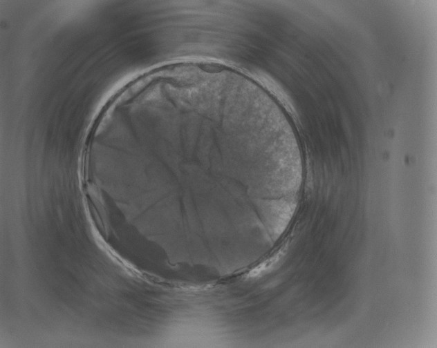 X0000081430958200702092156