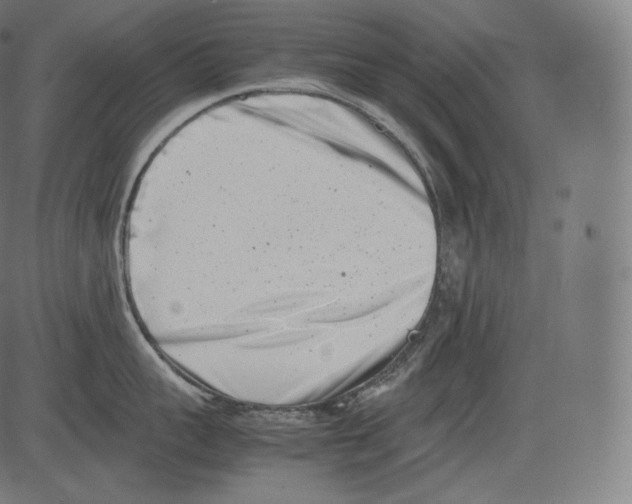 X0000081430959200702092156