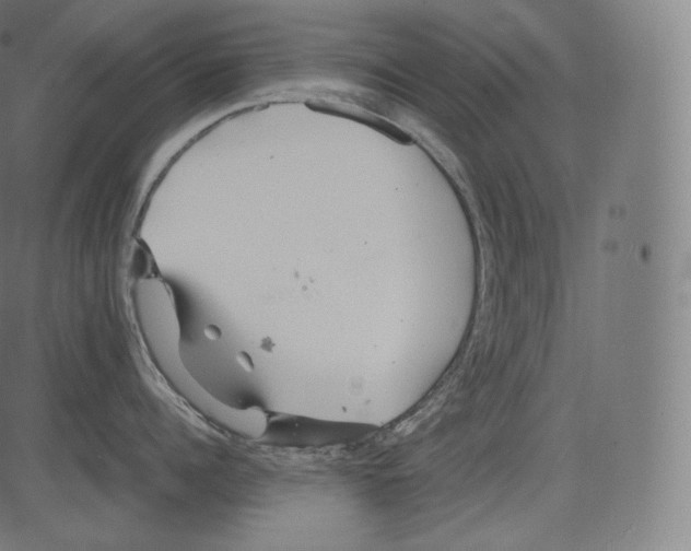 X0000081430960200702092156