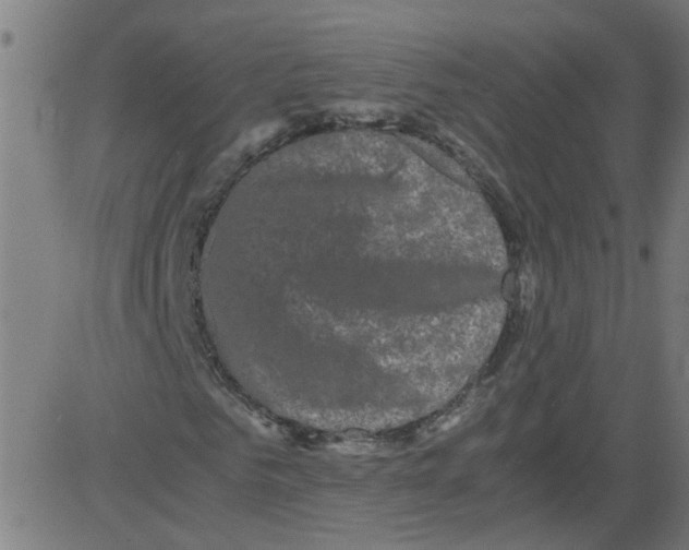 X0000081430961200702092155