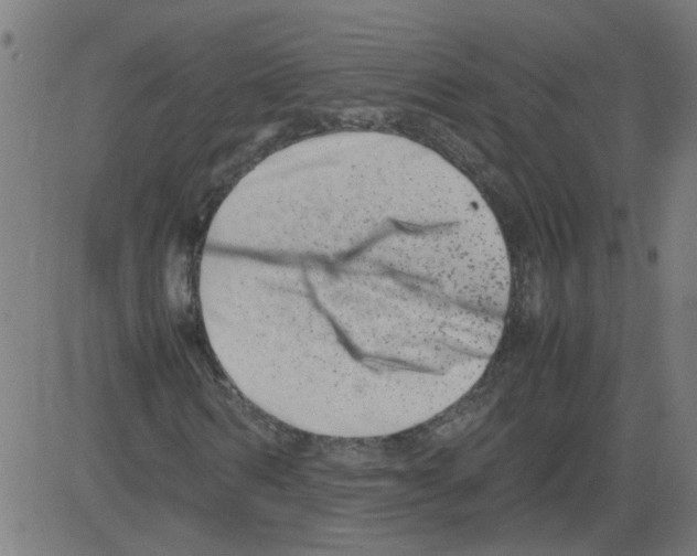 X0000081430962200702092155