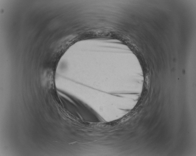 X0000081430963200702092155