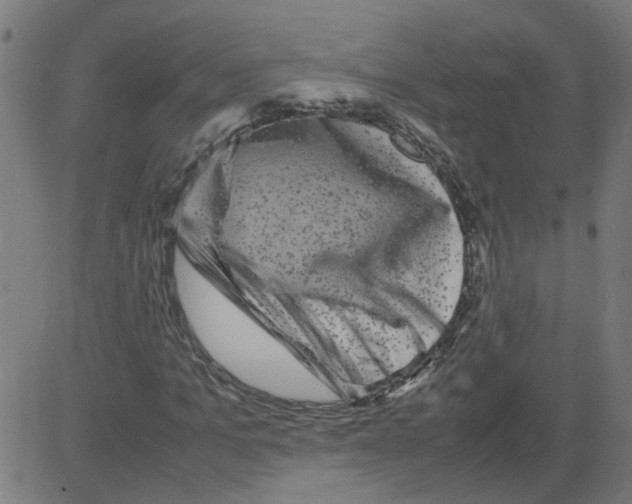 X0000081430965200702092155