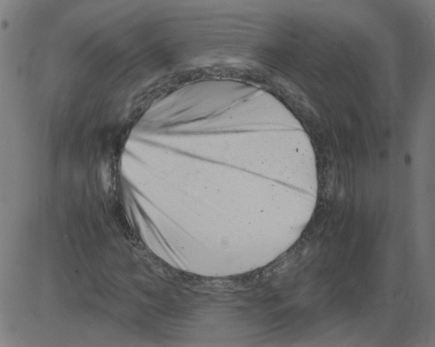 X0000081430966200702092155