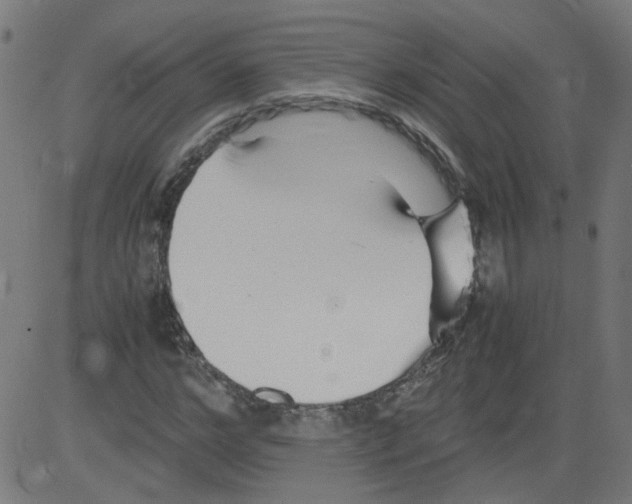 X0000081430968200702092155