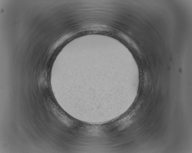 X0000081430970200702092155