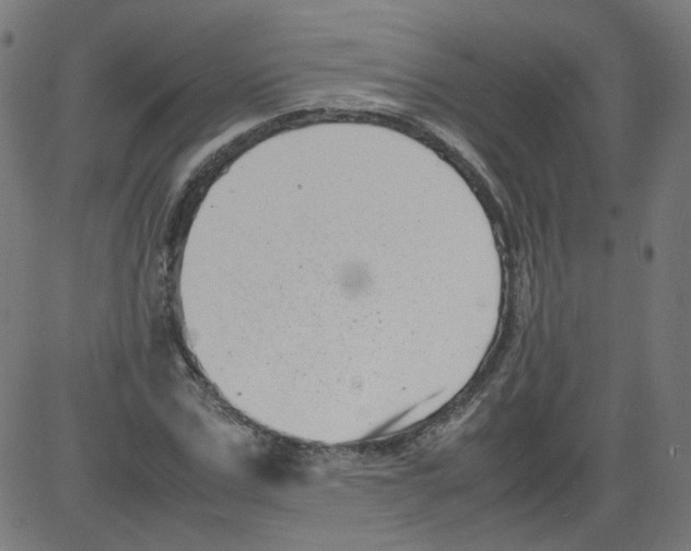 X0000081430971200702092155