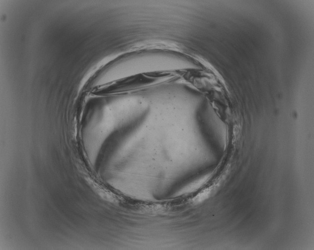 X0000081430973200702092155