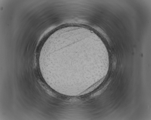 X0000081430974200702092155