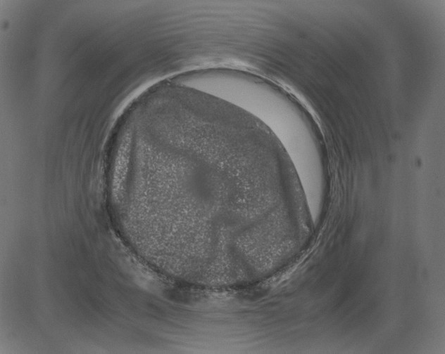 X0000081430975200702092155