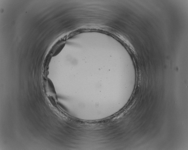 X0000081430976200702092155