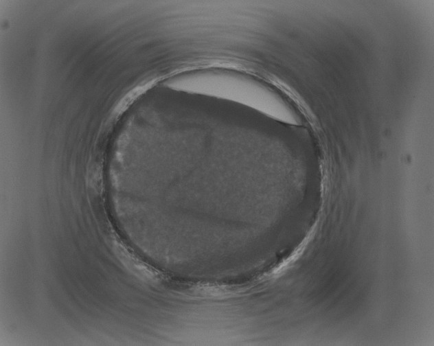 X0000081430977200702092155