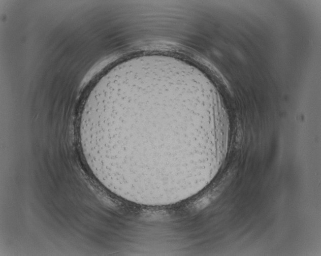 X0000081430978200702092155