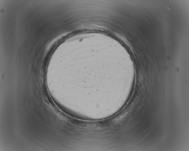 X0000081430979200702092155