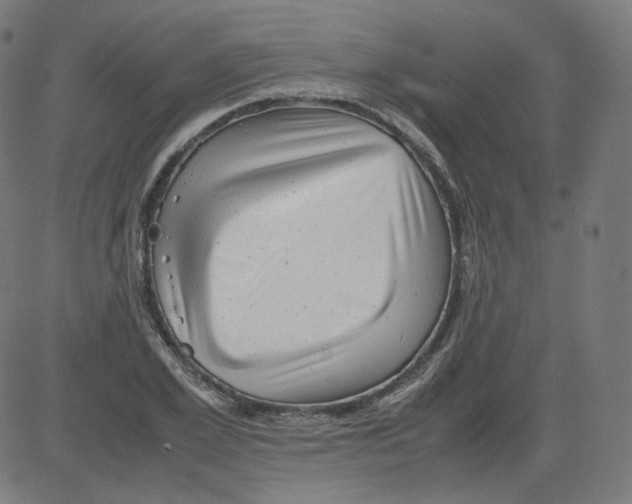 X0000081430981200702092155