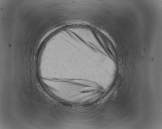 X0000081430983200702092155