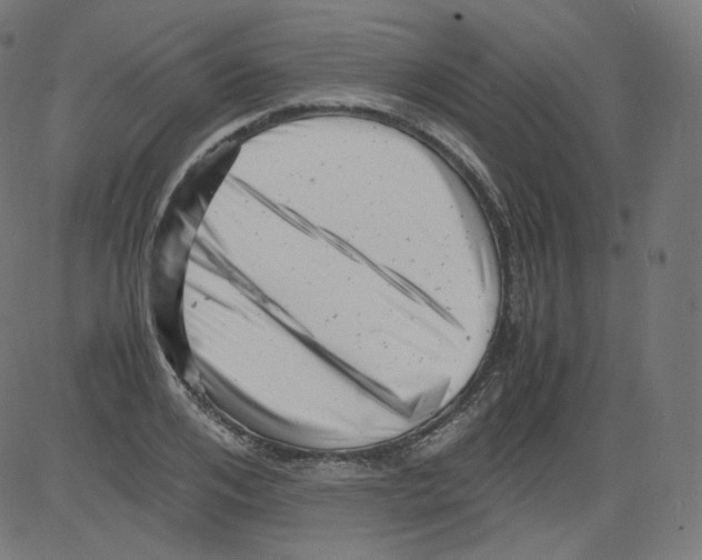 X0000081430984200702092155