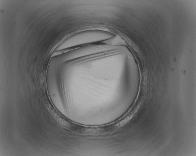 X0000081430985200702092155