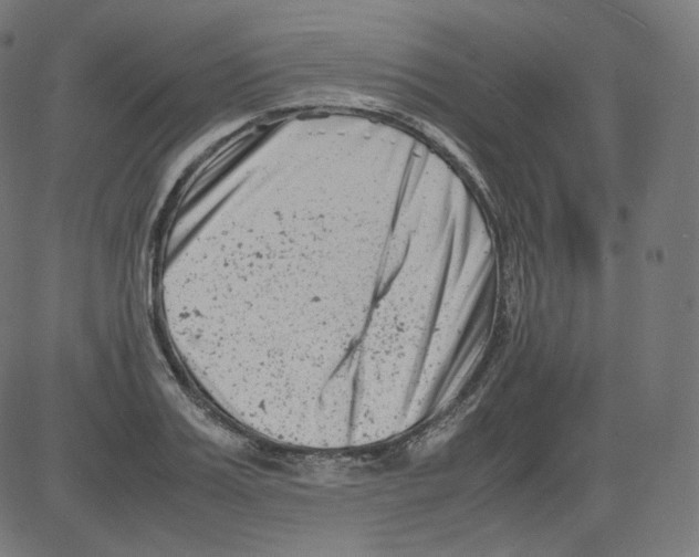 X0000081430987200702092155