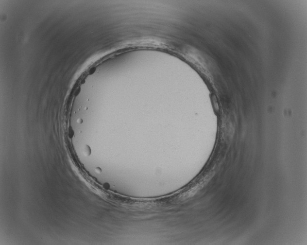 X0000081430989200702092155