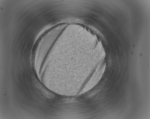 X0000081430990200702092155