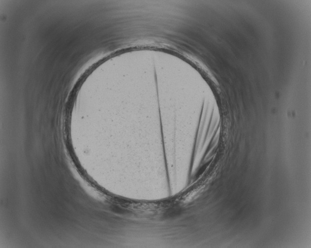 X0000081430991200702092155