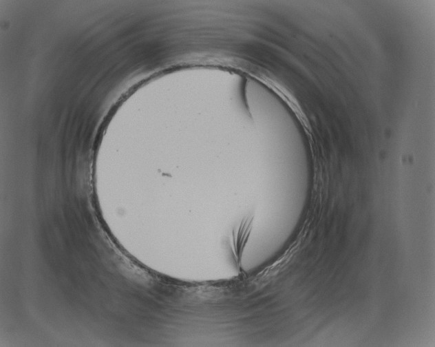 X0000081430992200702092155