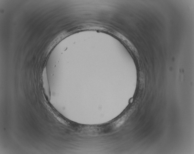 X0000081430993200702092155