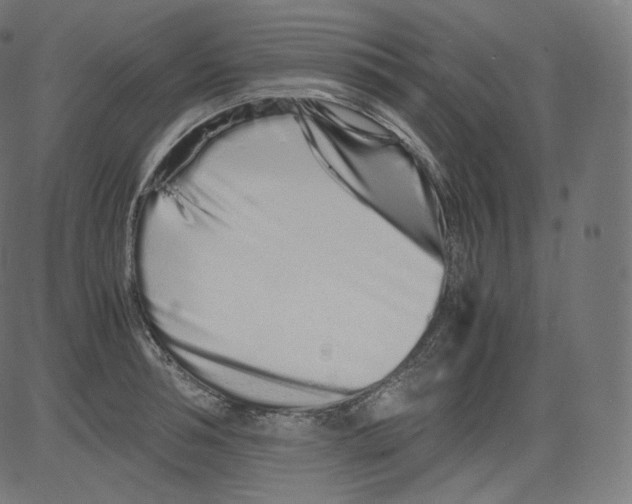 X0000081430994200702092155