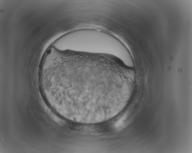 X0000081430995200702092155