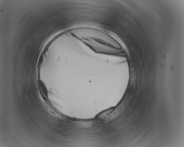 X0000081430996200702092155