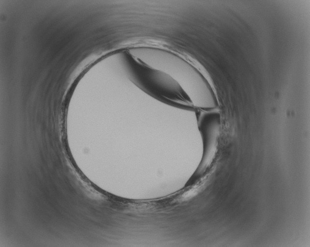 X0000081430997200702092155