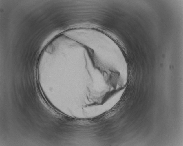 X0000081430998200702092155