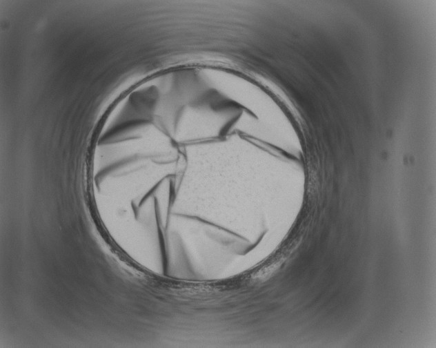 X0000081430999200702092155