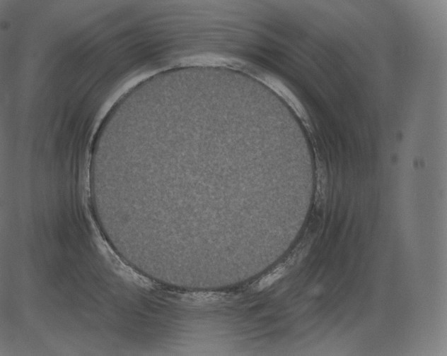 X0000081431000200702092155