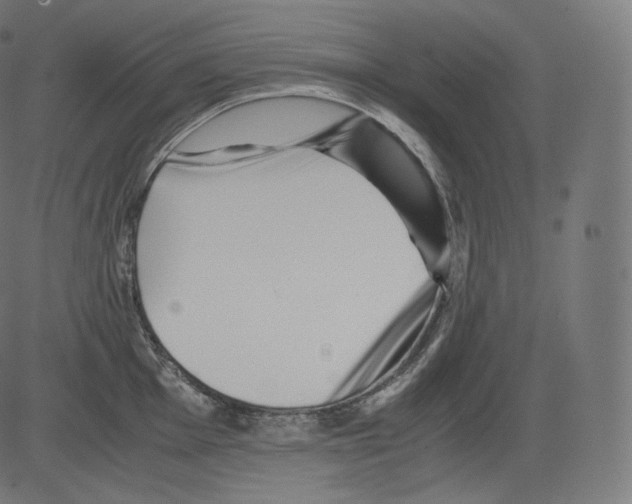 X0000081431001200702092155