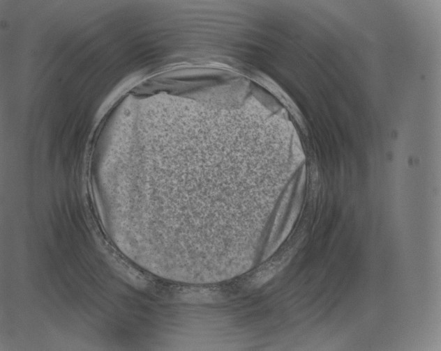 X0000081431002200702092155