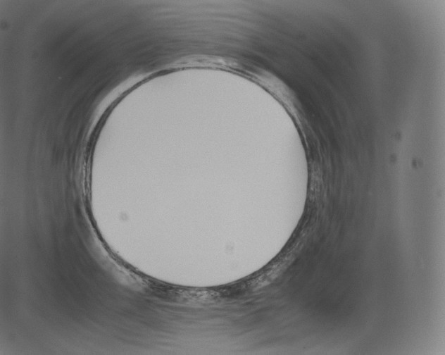 X0000081431003200702092155