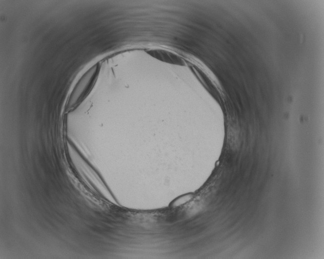 X0000081431004200702092155