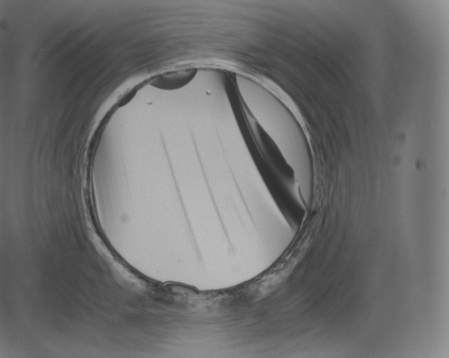 X0000081431005200702092155