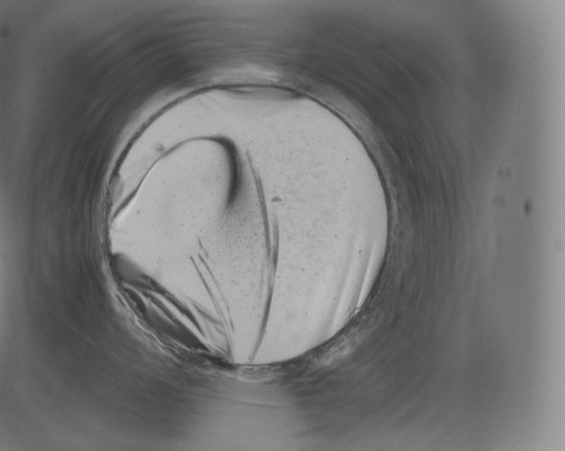 X0000081431008200702092155