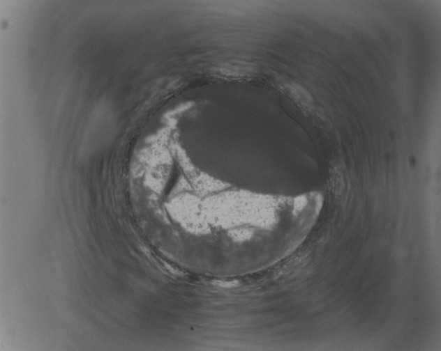 X0000081431009200702092154