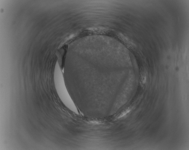 X0000081431010200702092154