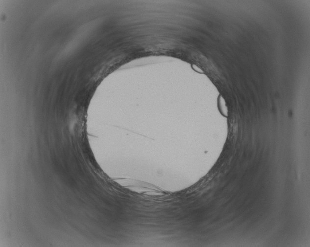 X0000081431012200702092154